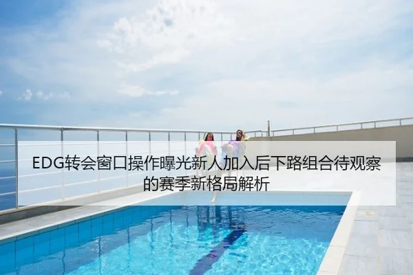 EDG转会窗口操作曝光新人加入后下路组合待观察的赛季新格局解析